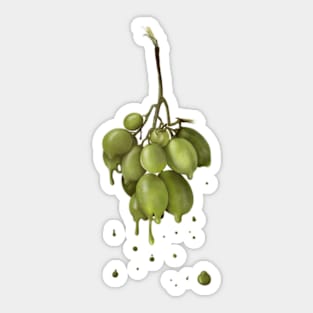 Melted Green Grapes Sticker